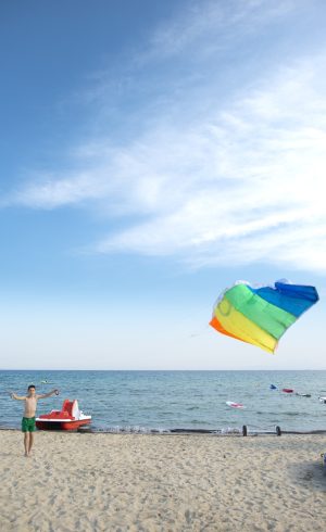 Child play with kite on the beach